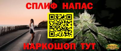 шишки Моздок