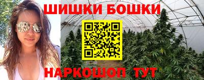 шишки Моздок
