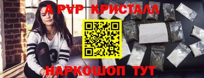 шишки Моздок