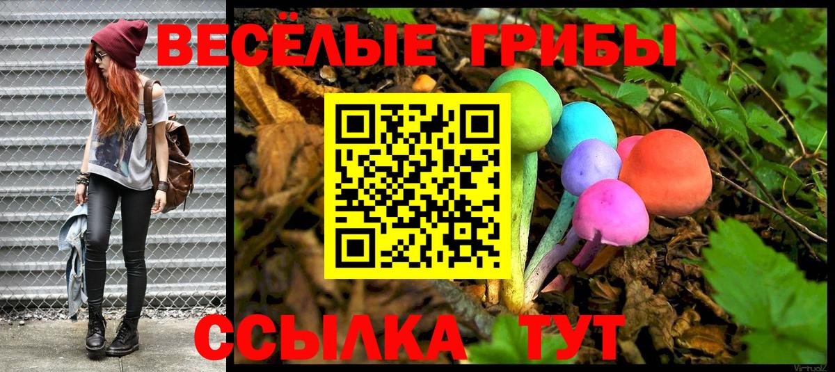 купить наркотик  Псилоцибиновые грибы GOLDEN TEACHER  Вход с VPN  Урюпинск 